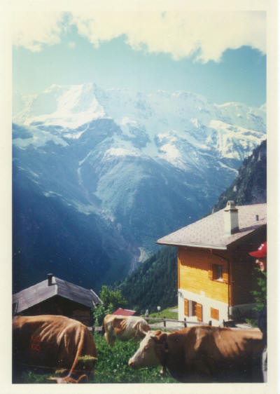 Swiss Alps from the village of Gimmelwald (June 1998)