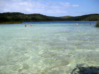 Lake Birrabeen at Fraser Island (purest freshwater in the world)