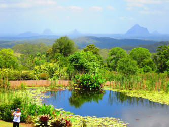 Maleny Botanic Gardens & Glass House Mountains in Queensland - Nov 2014