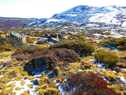 Ben Lomond National Park, Tasmania - August 2014 - cvxmelody photo