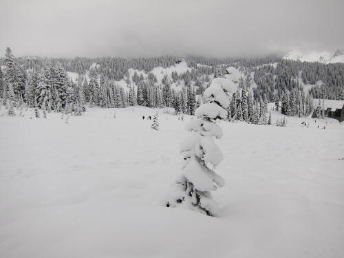 "Paradise" at Mt Rainier National Park - under heavy snow