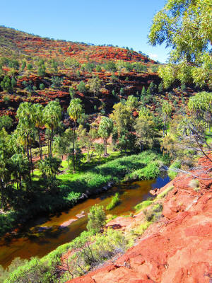 Palm Valley in The Northern Territory (2nd May 2012)